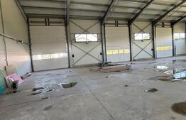 Hală nouă spre chirie 590 mp | Cumpărătura