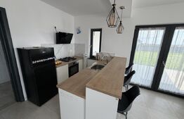 Casa 4 camere, 130 mp, 6 ari teren, zona Moară