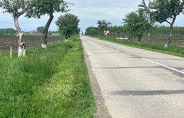 Teren extravilan, 3750 mp, zona Egger