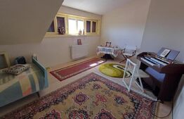Casă cu 8 camere, 400 mp, 15 ari teren, Salcea