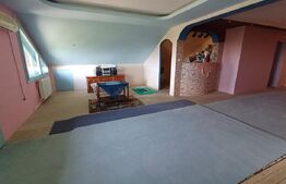 Casă cu 8 camere, 400 mp, 15 ari teren, Salcea