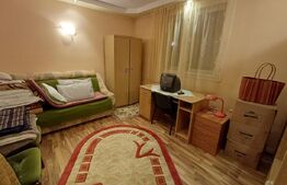 Casă cu 8 camere, 400 mp, 15 ari teren, Salcea