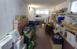 Casă cu 8 camere, 400 mp, 15 ari teren, Salcea
