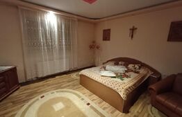 Casă cu 8 camere, 400 mp, 15 ari teren, Salcea