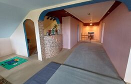 Casă cu 8 camere, 400 mp, 15 ari teren, Salcea
