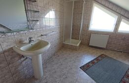 Casă cu 8 camere, 400 mp, 15 ari teren, Salcea