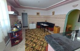 Casă cu 8 camere, 400 mp, 15 ari teren, Salcea