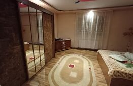 Casă cu 8 camere, 400 mp, 15 ari teren, Salcea