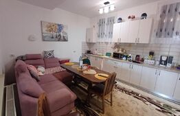 Casă cu 8 camere, 400 mp, 15 ari teren, Salcea