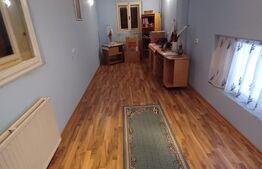 Casă cu 8 camere, 400 mp, 15 ari teren, Salcea