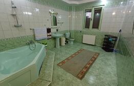 Casă cu 8 camere, 400 mp, 15 ari teren, Salcea