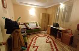 Casă cu 8 camere, 400 mp, 15 ari teren, Salcea