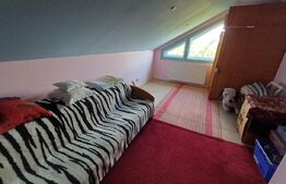 Casă cu 8 camere, 400 mp, 15 ari teren, Salcea