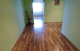 Casă cu 8 camere, 400 mp, 15 ari teren, Salcea