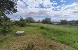 Duplex la rosu, 4400 mp teren, Siret