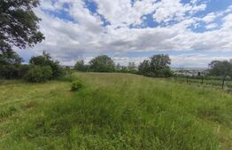 Duplex la rosu, 4400 mp teren, Siret