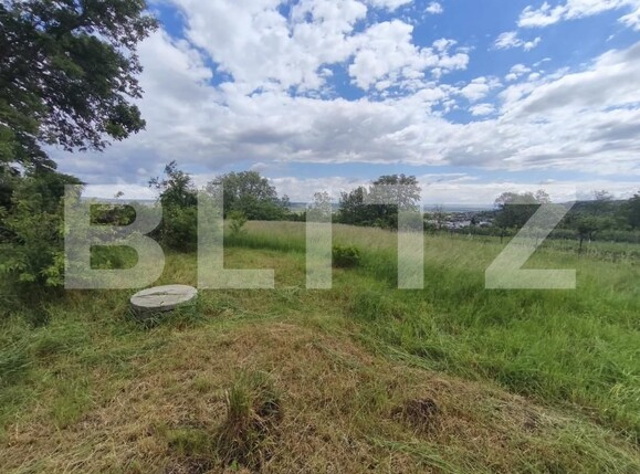 Casa de vânzare 8 camere Siret - 196596CV | BLITZ Suceava | Poza22