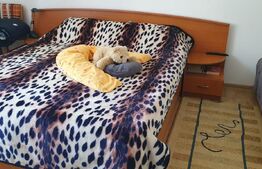 Casă 3 camere finisate si 7 camere la rosu (Et+M), 182mp, in Vatra Dornei