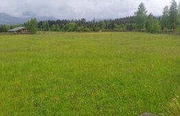 Teren extravilan, 6200 mp, zona Saru Dornei - Vatra Dornei