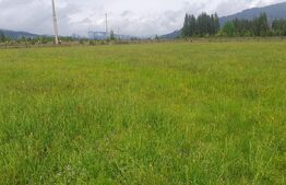 Teren extravilan, 6200 mp, zona Saru Dornei - Vatra Dornei