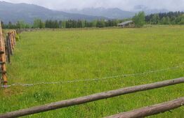 Teren extravilan, 6200 mp, zona Saru Dornei - Vatra Dornei