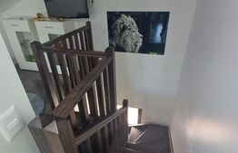 Vilă premium cu foisor si sauna, 240 mp, 10 ari teren, Scheia