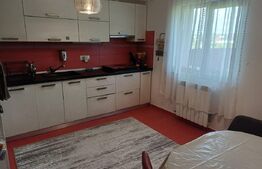 Vilă premium cu foisor si sauna, 240 mp, 10 ari teren, Scheia