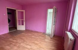 Garsoniera renovabila , etaj intermediar , Radauti