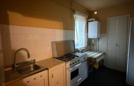 Apartament 3 camere, 60 mp, etaj intermediar, zona Areni