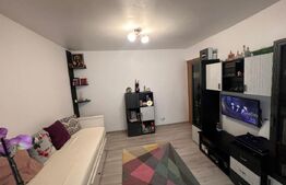 Apartament 2 camere, decomandat, parter, Burdujeni