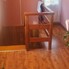 Casa de vânzare 5 camere Est - 197288CV - Poza 1 din 15 | BLITZ Suceava | Poza14