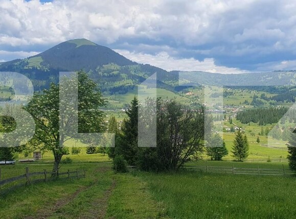 Casa de vânzare 2 camere Vatra Dornei - 197305CV | BLITZ Suceava | Poza6
