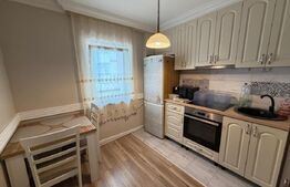 Apartament de închiriat 2 camere Radauti, Suceava