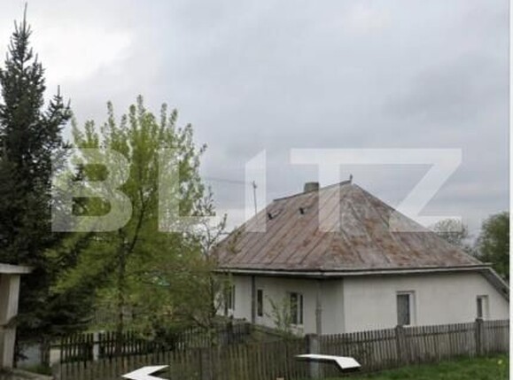 Casa de vânzare 3 camere Danila - 197565CV | BLITZ Suceava | Poza3