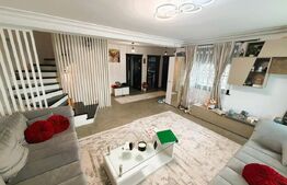 Casa premium in Moara, 14.5 ari teren, 222 mp utili