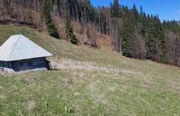 Teren extravilan, cu o suprafata generoasa de 206.189 mp in Dorna Candrenilor