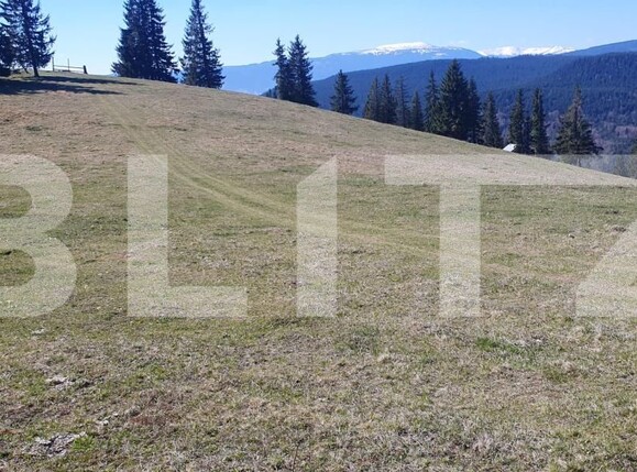 Teren de vânzare Vatra Dornei - 197585TV | BLITZ Suceava | Poza10