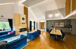 Casa de vanzare Malini, Valeni Stanisoara, 30 ari teren