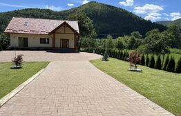 Casa de vanzare Malini, Valeni Stanisoara, 30 ari teren