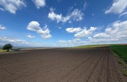 Teren extravilan, 3900 mp, zona Cumparatura