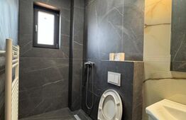 Spatiu comercial, 39 mp , central, Radauti