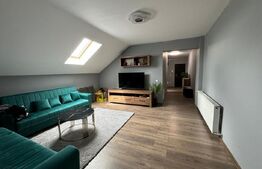 Apartament modern , 2 camere, Radauti