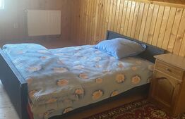 Spatiu comercial și pentru cazare, 8 camere, 119 mp, în Câmpulung Moldovenesc 