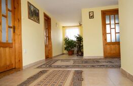 Casa + Spatiu comercial | 5796 mp teren | Burdujeni