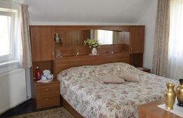 Casa + Spatiu comercial | 5796 mp teren | Burdujeni
