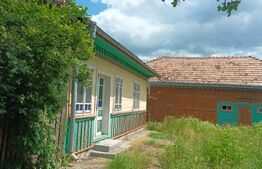 Casă veche, 4118 mp teren, Vornicenii Mici, Moara