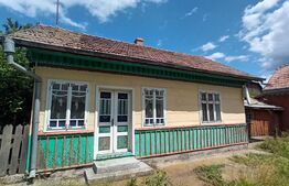 Casă veche, 4118 mp teren, Vornicenii Mici, Moara