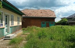 Casă veche, 4118 mp teren, Vornicenii Mici, Moara