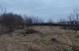 Casă veche, 4118 mp teren, Vornicenii Mici, Moara