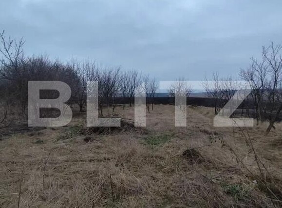Casa de vânzare 2 camere Exterior Vest - 198046CV | BLITZ Suceava | Poza9